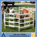 Customized Security Hot Dip Galvanizing Horse Fence Panel with Factory Price